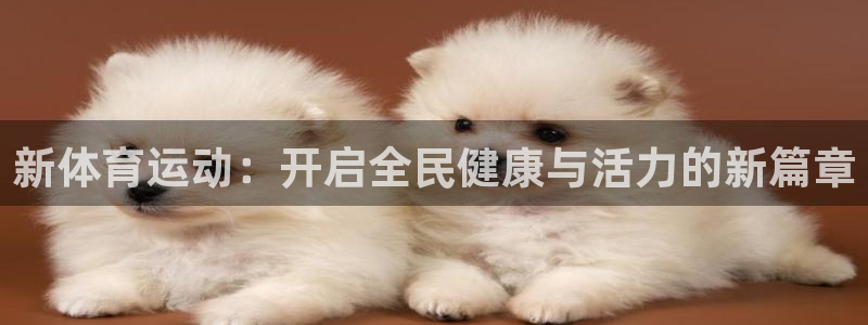 vsport体育：新体育运动：开启全民健康与活力的新篇章