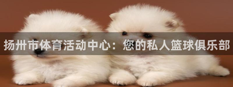 vsport体育在线官网：扬卅市体育活动中心：您的私人篮球俱乐部