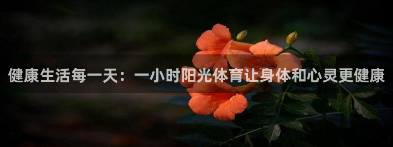 vsport体育在线官网