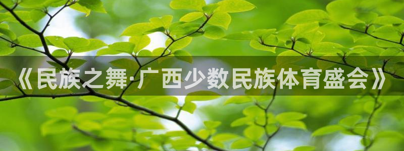 vsport体育在线官网