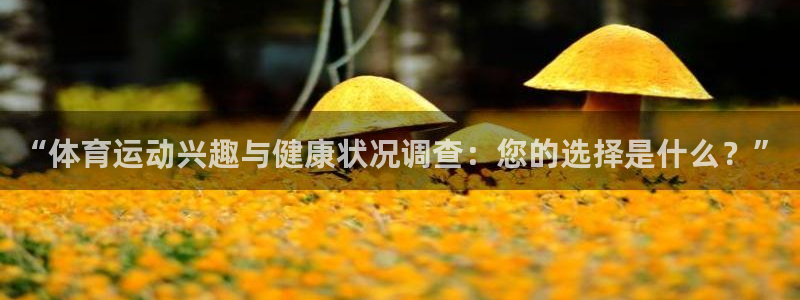 vsport体育在线官网