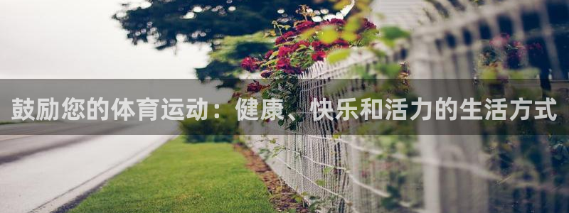 vsport体育在线官网：鼓励您的体育运动：健康、快乐和活力的生活方式