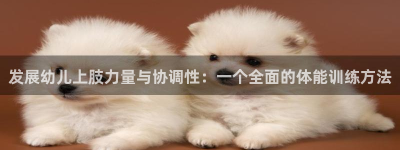 vsport体育在线官网：发展幼儿上肢力量与协调性：一个全面的体能训练方法