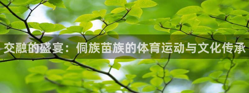 vsport体育在线官网：交融的盛宴：侗族苗族的体育运动与文化传承