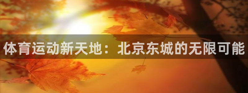 vsport体育在线官网：体育运动新天地：北京东城的无限可能