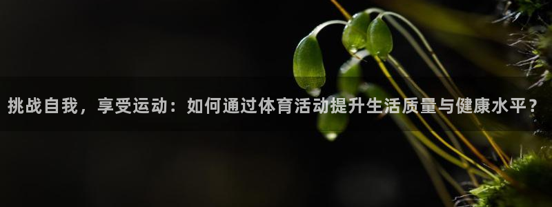 vsport体育在线官网：挑战自我，享受运动：如何通过体育活动提升生活质量与健康水平？