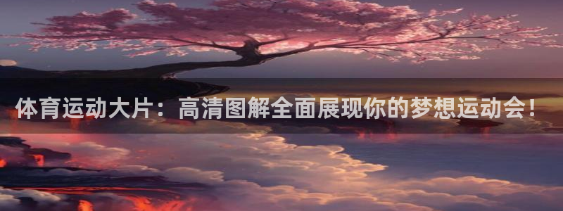 vsport体育：体育运动大片：高清图解全面展现你的梦想运动会！
