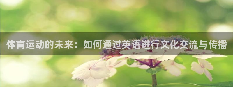 vsport体育：体育运动的未来：如何通过英语进行文化交流与传播
