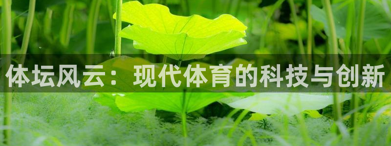 vsport体育在线官网：体坛风云：现代体育的科技与创新