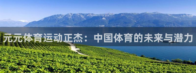 vsport体育：元元体育运动正杰：中国体育的未来与潜力