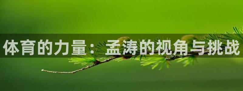 vsport体育在线官网